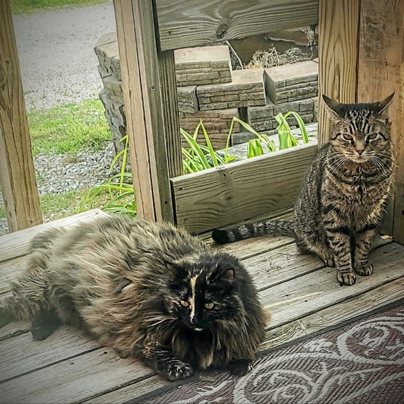 Sharing Items Bought for the Woman I'm Growing Into Becoming - Picture 5 of 5